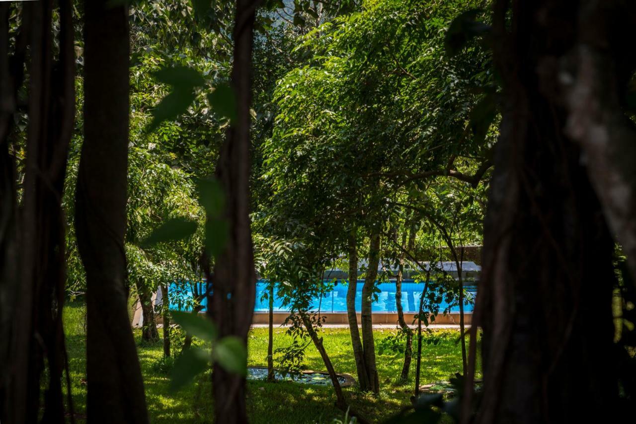 The Postcard Velha, Goa Hotel Oud Goa Buitenkant foto